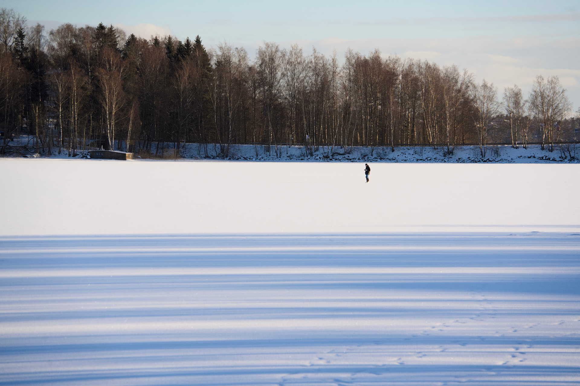 Sunny winter